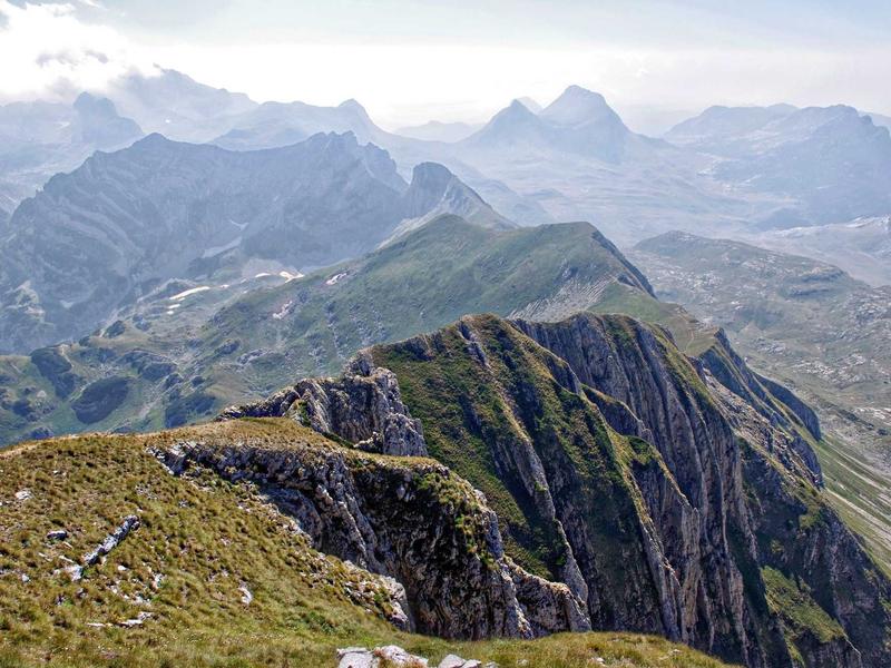 sudoku brain exercise screenshot 4